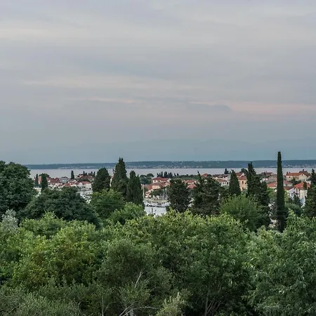 Family Friendly With A Swimming Pool Sutomiscica, Ugljan - 13872 Apartment Preko